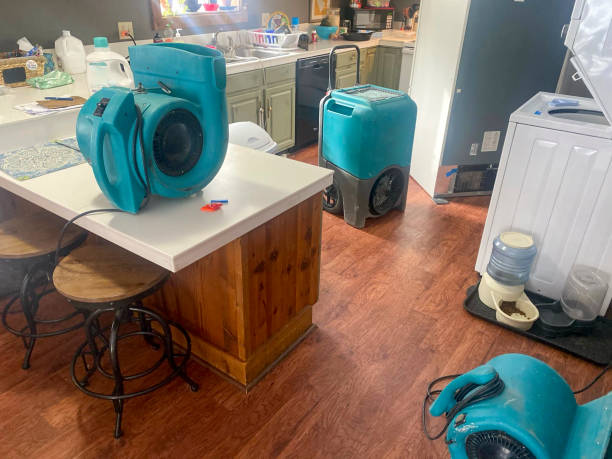 Best Flooded house restoration  in Hale Center, TX