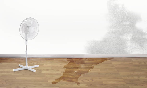 Best Emergency water damage restoration  in Hale Center, TX