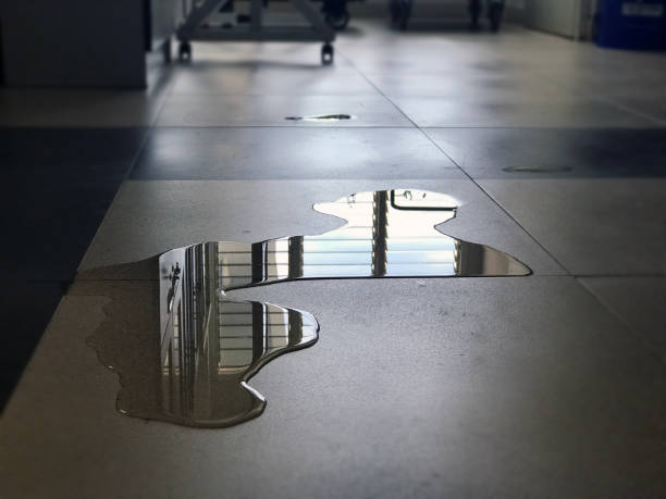 Best Local water damage restoration  in Hale Center, TX