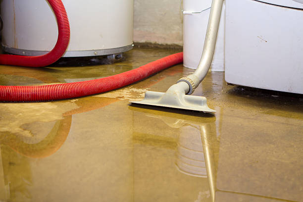 Water damage restoration experts in Hale Center, TX