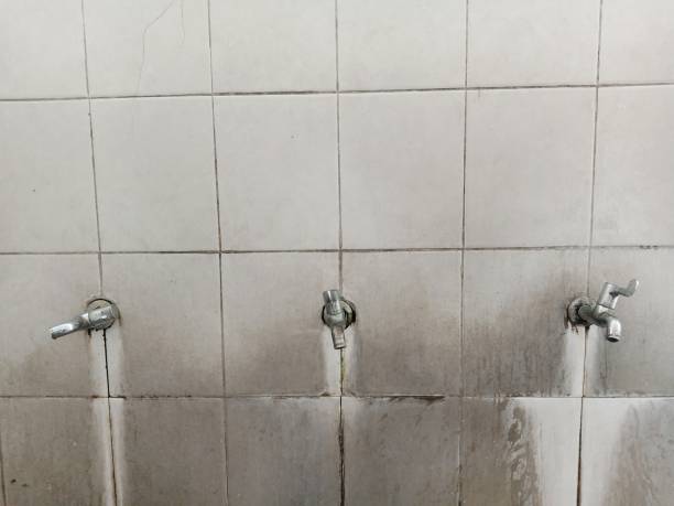 Best Water damage restoration company  in Hale Center, TX